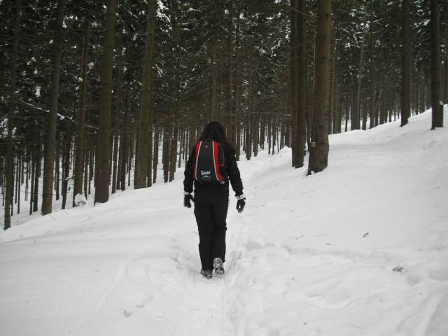 Spinleruv Mlyn Februari 2010